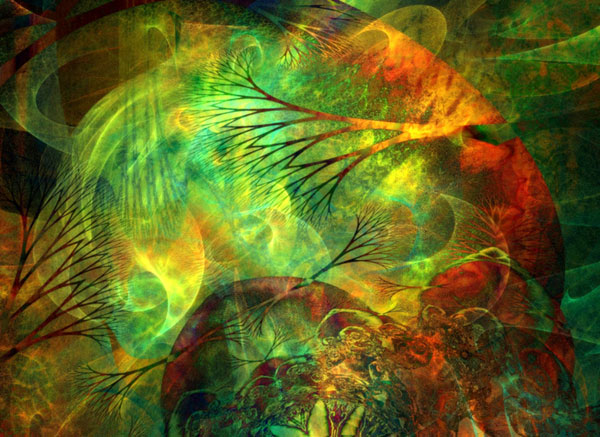 Image #1 of 12: 